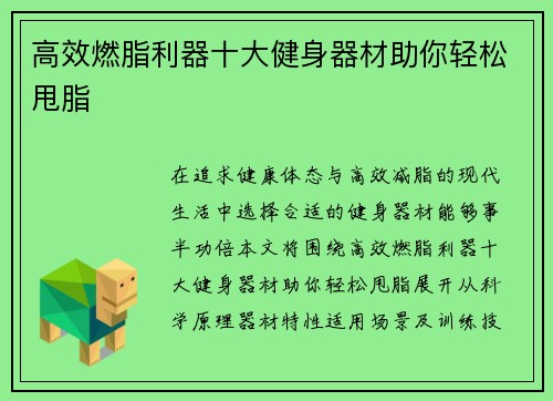 高效燃脂利器十大健身器材助你轻松甩脂